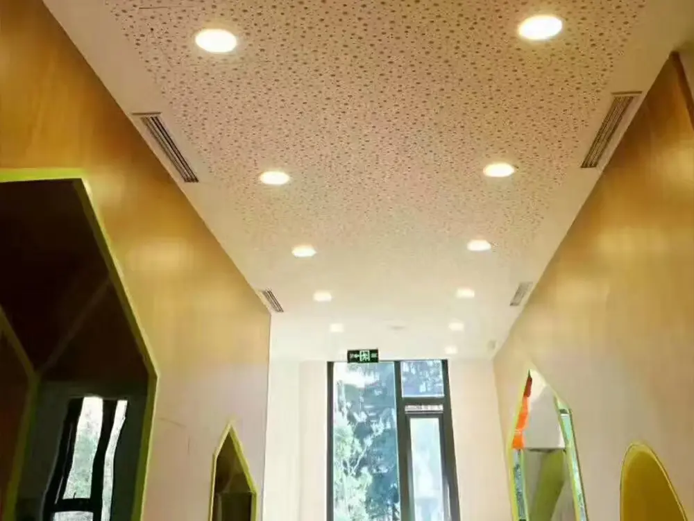 LEAO® Perforated Ceiling (3).jpg